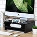FITUEYES Computer Monitor Riser Stand Laptop Desktop Stand Workspace Organizer DT203801WB