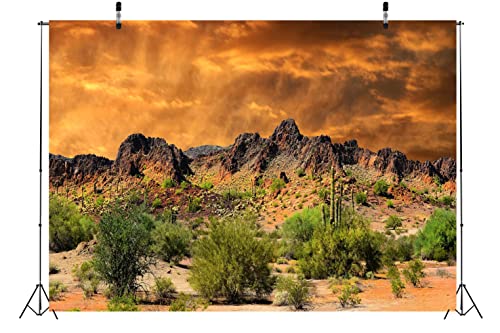 Fondo Fotográfico Desierto 7x5FT Poliéster miniatura 3