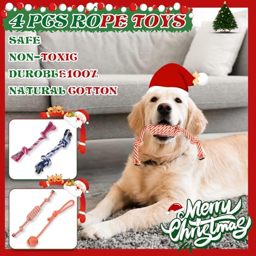 Kapetgo Hundespielzeug, Welpenspielzeug ab 8 Wochen, interaktives Seilspielzeug, unzerstörbar, robust, Kauspielzeug, Geschenk für kleine Hunde, 10 Stück (graues Kaninchen)