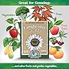 Down To Earth All Natural Fertilizers Organic Langbeinite, Potassium Magnesium Sulfate (K-Mag) Granular Plant Food 0-0-22, 5 lb
