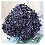 RCIDOS Top Aesthetics Hortensia de Hortensia preservada de Colores con Cabeza de 25cm con Tallo, Hojas pequeñas, Flores Reales, Material de Bricolaje Hecho a Mano, decoración del hogar (Color : 3)