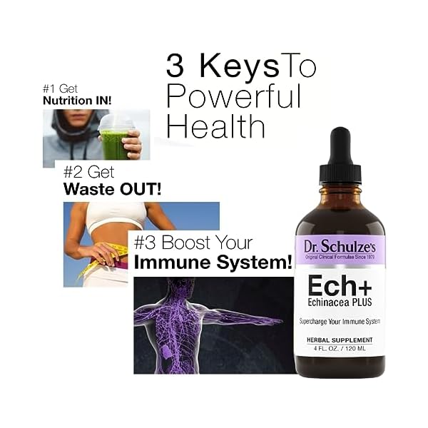 Dr. Schulze's Echinacea Plus | Echinacea Root and Seed | All Organic Extract | Gluten-Free & Non-GMO for Immune System Support | 4 oz - Image 3