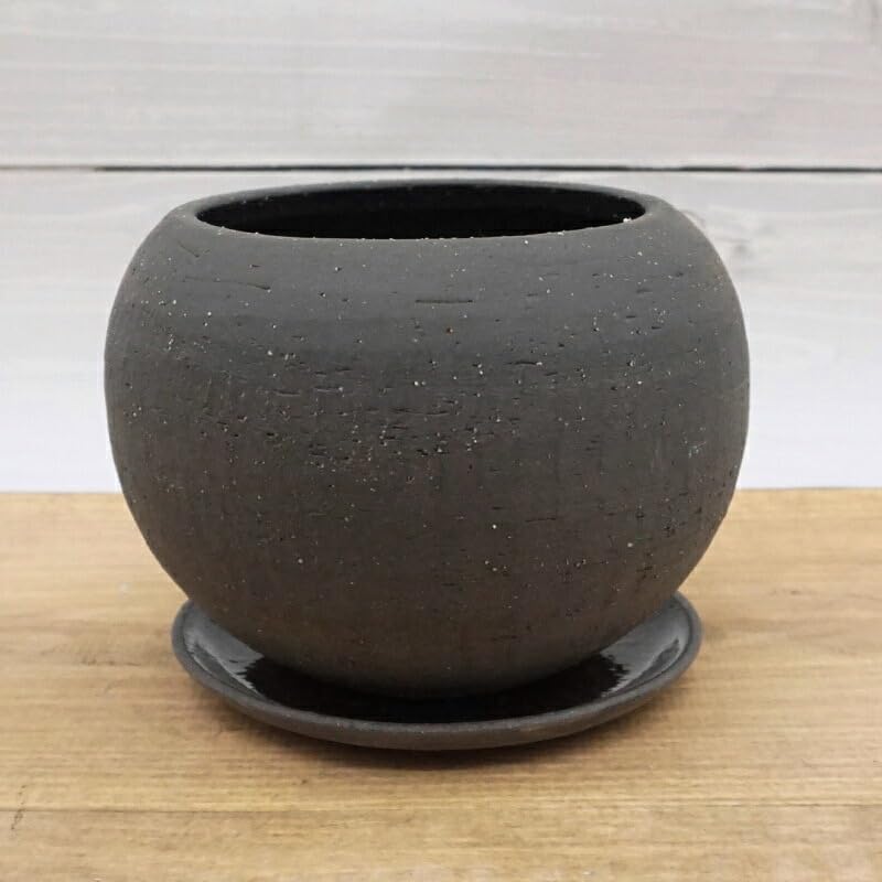 Amazon.co.jp: 植木鉢 おしゃれ 陶器鉢 エッジボールS (2色) 胴部最大