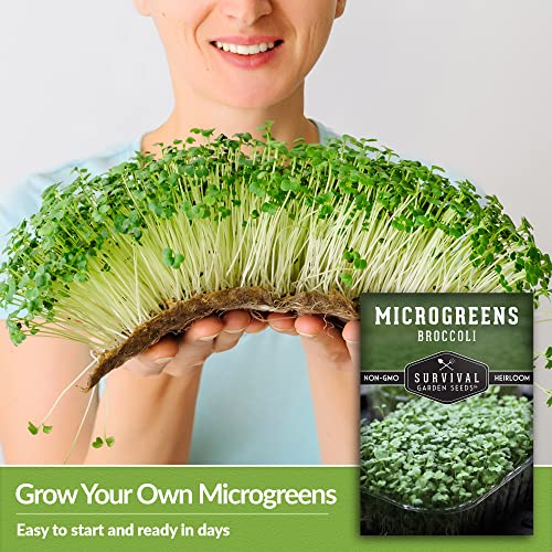 Survival Garden Seeds Broccoli Microgreens For Sprouting And Growing - Seed To Sprout Green Leafy Micro Vegetable Plants Indoors - Grow Your Own Mini Windowsill Garden - Non-Gmo Heirloom Variety #TOP3