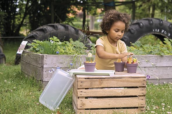 Dantoy Green Garden Mini Greenhouse Set, Age 2+ Years, A Mini Greenhouse Kit that allows children to grow - Image 2