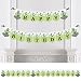Big Dot of Happiness Prickly Cactus Party - Fiesta Birthday Party Bunting Banner - Birthday Party Decorations - Happy Birthday