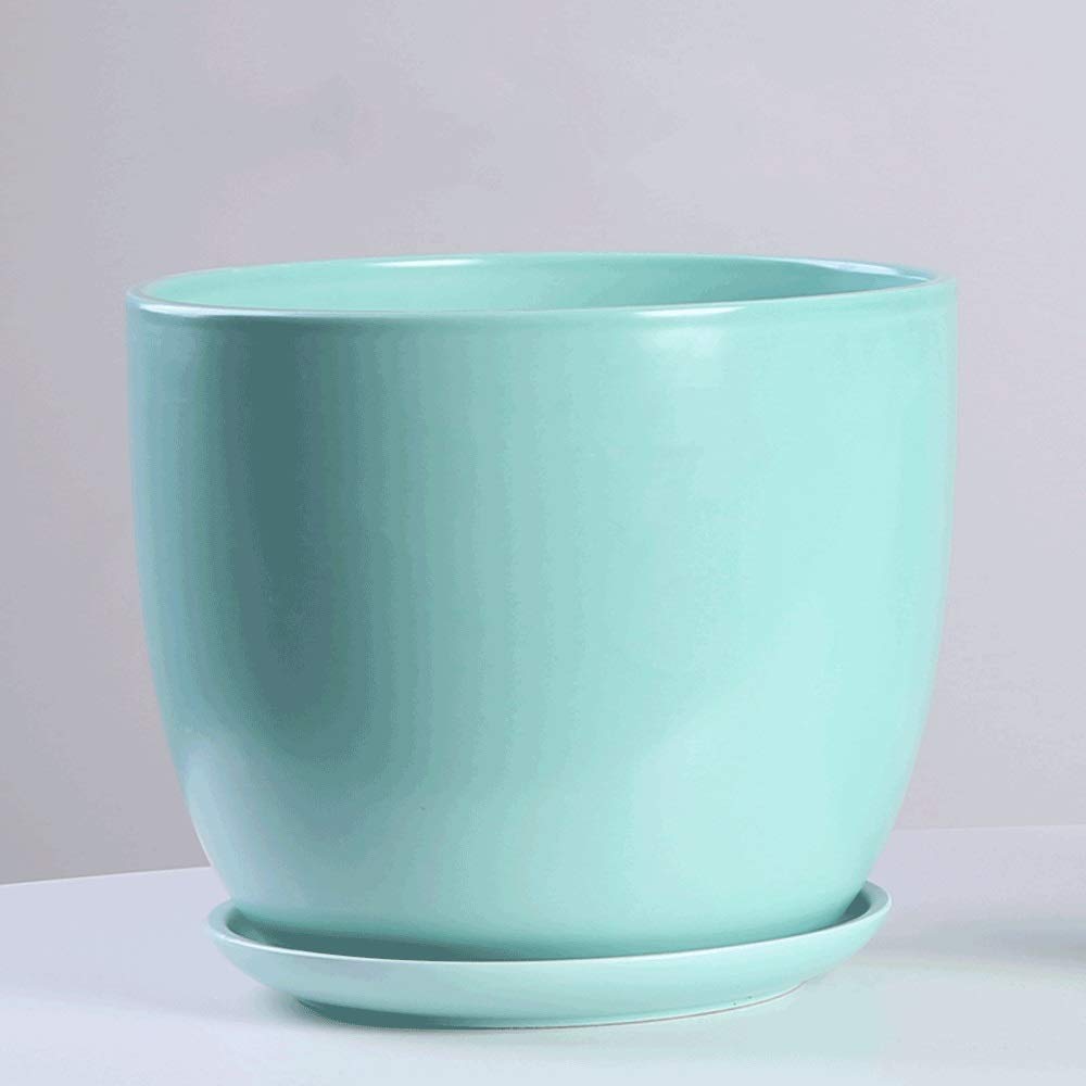 Pot céramique pour succulentes évitant l'excès d'eau racinaire - 6