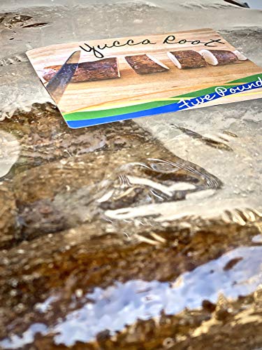 Fresh Whole Yuca Root (5lb) by Morongo Fruit Co. - Thumbnail 3
