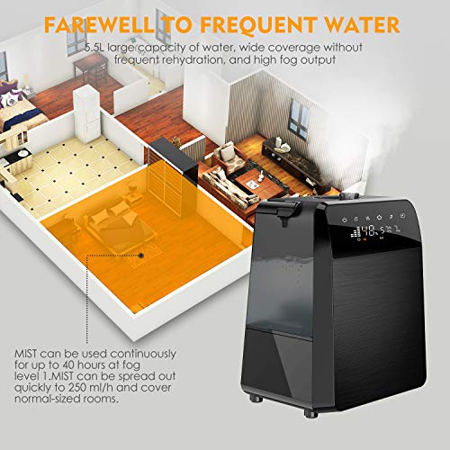 TTLIFE 6L Warm and Cool Mist Humidifiers for Large Room Baby Bedroom, Humidifiers with Remote, Essential Oil, Customized Humidity, LED Touch Display, for Your Family
