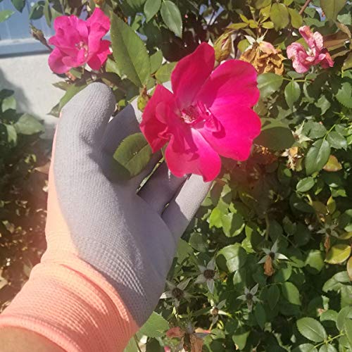 Midwest Gloves & Gear Ladies Max Touch Glove, Melon 2 Count (Pack Of 1) #TOP1