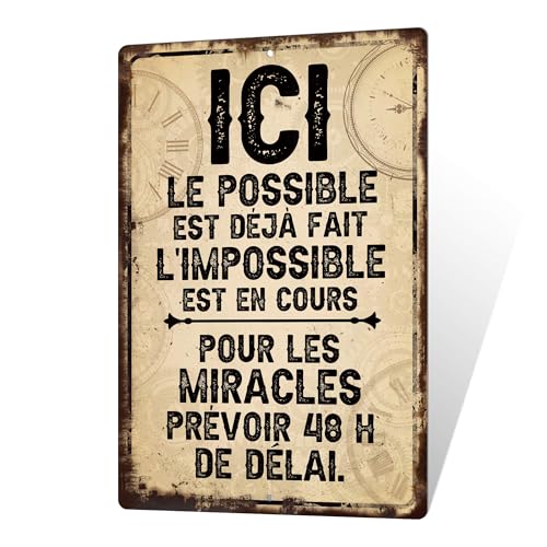 Putuo Decor Plaque Métal Humour Bureau – Décoration Bureau Vintage en Aluminium, Panneau Décoratif Métallique 30x20 cm, Style Drôle pour Entreprise ou...