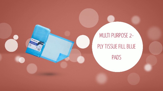 Amazon.com: Dealmed Standard Absorbency Disposable Underpads - 24