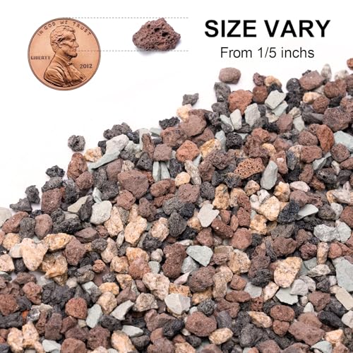 Image of 5lbs Mix Horticultural Lava Rocks for Plants, 1 /5 Inch Potting Soil Amendment for Succulents, Cacti, Bonsai, Decorative Gravel Plant Drainage Volcanic for Terrarium, Top Dressing