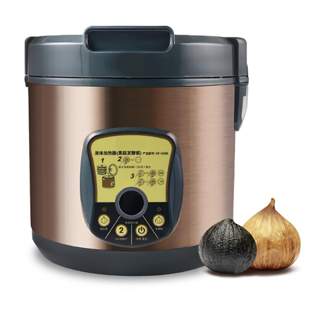 Boîte fermentation ail noir 6L cuiseur automatique maison