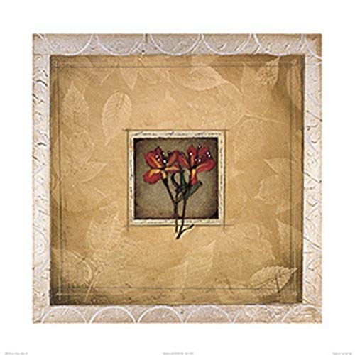 Framed Lily II by Forest Poole 24 X 24 Poster