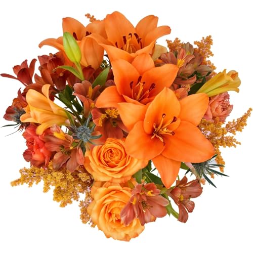 View 3