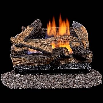 best gas fireplace insert