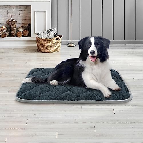 Furrybaby Dog Bed Mat Crate Mat With Anti-Slip Bottom Machine Washable Pet Mattress For Dog Sleeping (S 24X18'', Grey Mat) #TOP4