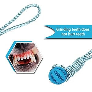 Dog Rope Ball Bite Resistance Training Ball Dog Toy with Rope Interesting Dog Puzzle Teething Toy for Molar Teeth Cleaning Boredom Relieving(Blue)
