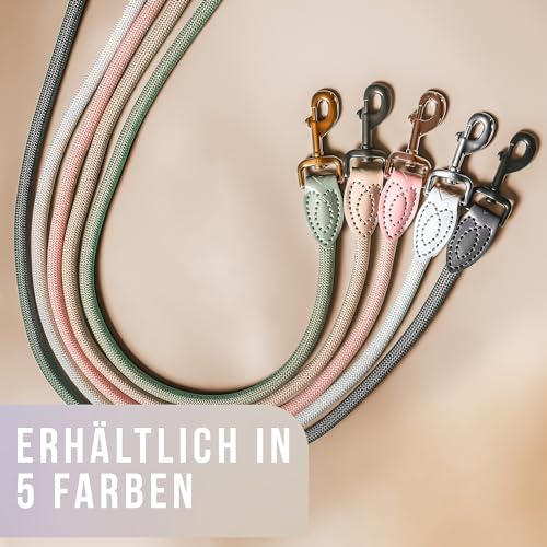 ne&no Tauleine 1.2m (leicht dehnbar) für mittelgroße bis ganz große Hunde I Trainingsleine I Hundeleine robust I Führleine rund, geflochten I Seil Leine Hund I Cityleine I Dog Leash Taupe, 120 cm