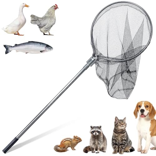 KHEARPSL Rete cattura animali per cani di grandi dimensioni per gallo, tacchino, anatra, procione, gatto, cane, rete da pesca con palo telescopico 109,2-198,1 cm, apertura rete 50,8 cm, profondità