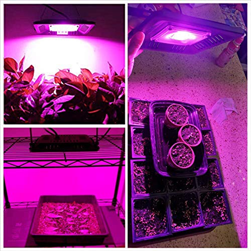 Eastdall Luzes Led De Cultivo Para Plantas,Luzes de cultivo LED para plantas de interior, 150 W Luze