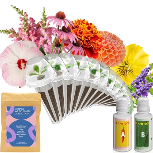 Wild Flower Seed Hydroponic Pod Kit Compatible with Aerogarden Ahopegarden Letpot 7 Pods with Variety Seeds(Blush Hibiscus Coneflower Dahlia Viola Lavender French Marigold Snapdragon)