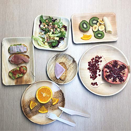 Piastre tonde monouso in foglia di palma. 20