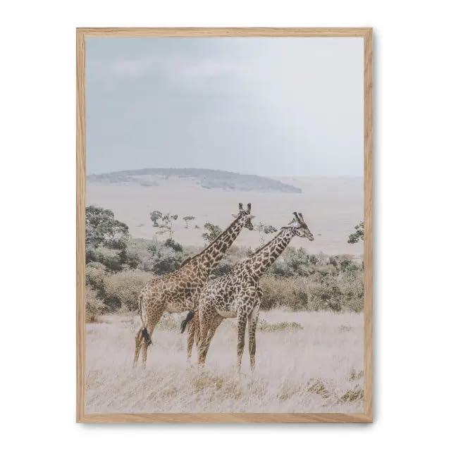 Cuadro giraffe in the savana grand tableau sauvage pour chambre chaleureuse