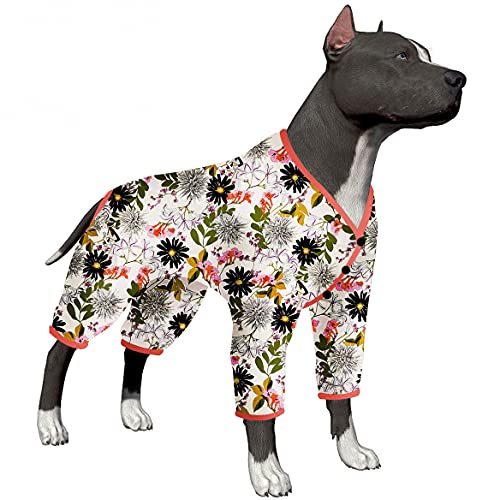 Clothes for Pitbulls The 15 best products compared Wild Explained