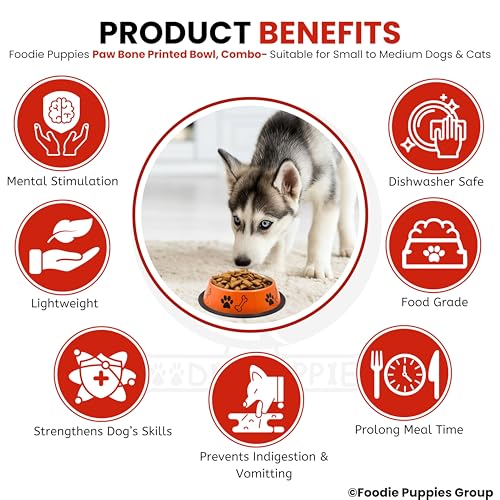 Image of Foodie Puppies Stainless Steel Dog Bowl Combo - (Medium, 700ml) Food and Water Feeding Gift Bowl | Suitable for Dogs, Cats and Other Pets I Paw Bone Print, Anti-Skid Rubber Base (Red + Orange)