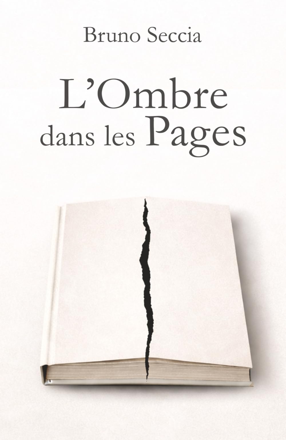 L’Ombre dans les Pages: Roman initiatique contemporain
