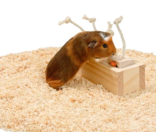 Karlie Rody Brain Train Cube, 4 Klötze L: 21.5 cm B: 8.5 cm H: 7.5 cm natur