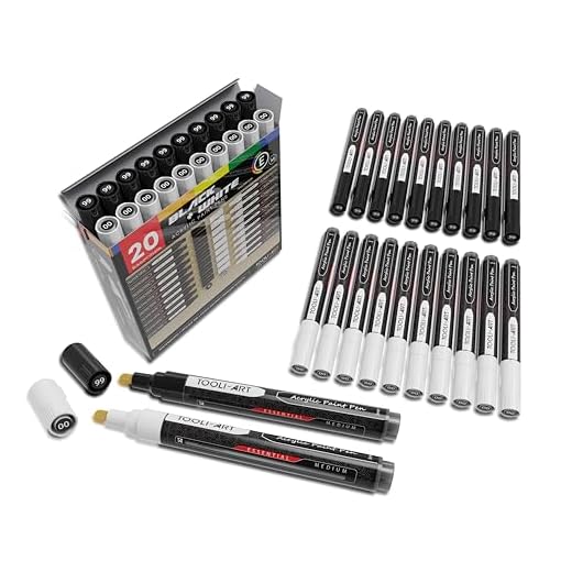 TOOLI-ART Juego de 20 marcadores de pintura acrílica blanca y negra de 3 mm medianos para pintar sobre roca, lienzo, tazas, pintar metal, tela de vidrio, madera, bricolaje, no tóxico
