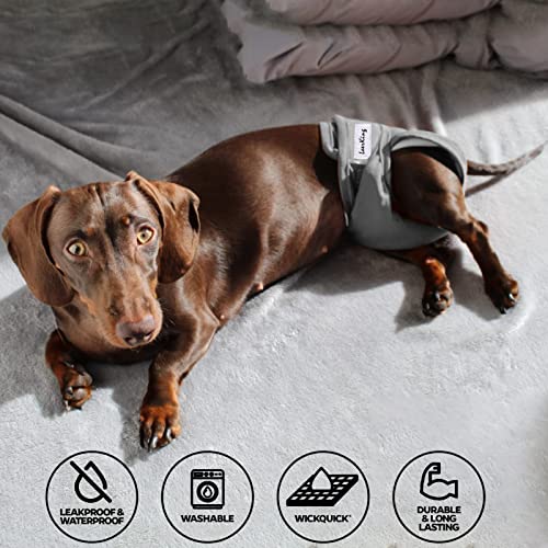LeerKing Hochsaugfähige Hundewindeln für Hündinnen [2 STK] Waschbar Hundehöschen läufigkeit umweltfreundliche Schutzhose bei Läufigkeit und Inkontinenz Schwarz & Grau L
