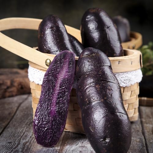 semillas de papa - papa - interior, para balcón, Decoración de jardín para exterior, ecológicas, 300pcs