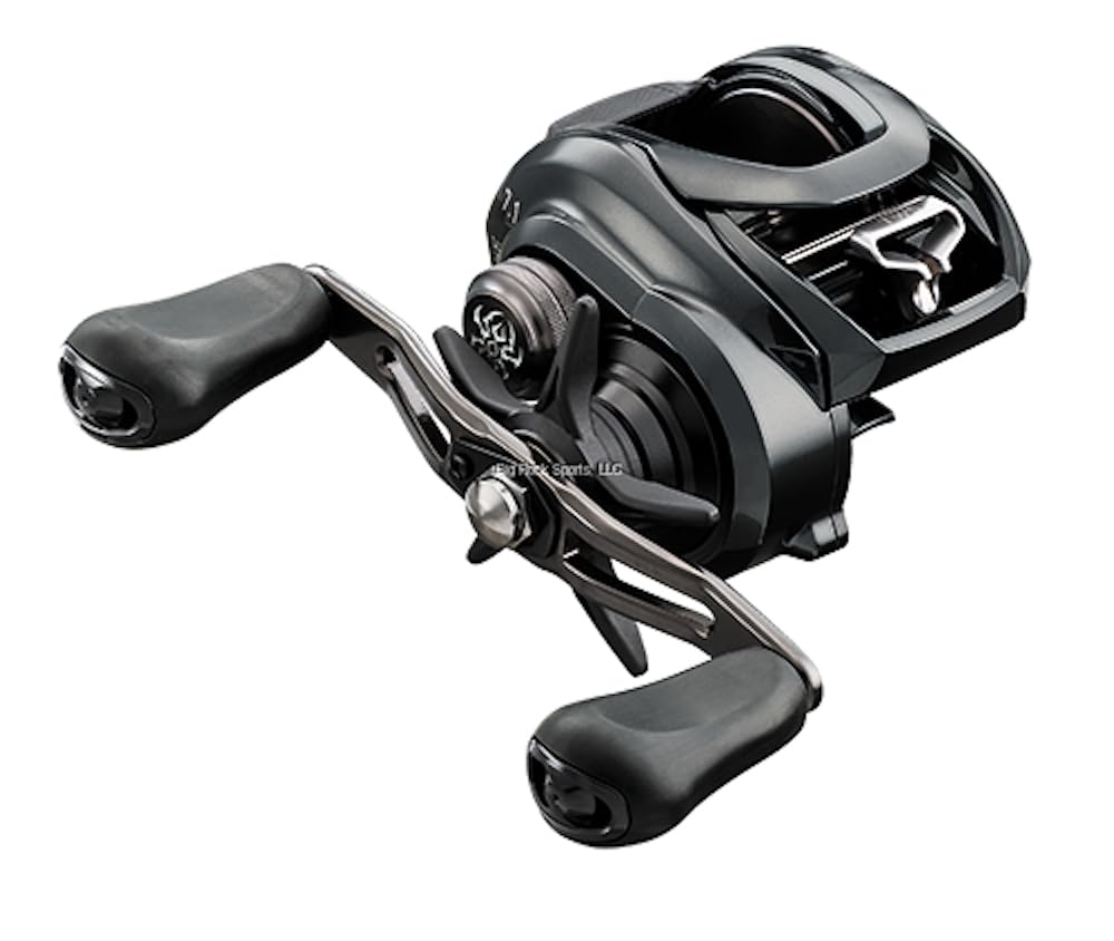 Amazon.com : Daiwa TTU300H-LN Tatula 300 Baitcast Reel, BRS