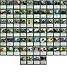 Hydra Commander Deck - Mono Green - EDH - 100 Card - Custom Magic The Gathering Deck - Very Strong!