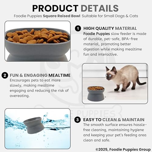 Image of Foodie Puppies Cat Raised Food and Water Feeder Bowl - (Square Raised Bowl, 250ml) | Anti-Slip and PP Material Pet Feeding Dish | Suitable for Cats, Kittens, and Puppies (Color May Vary)