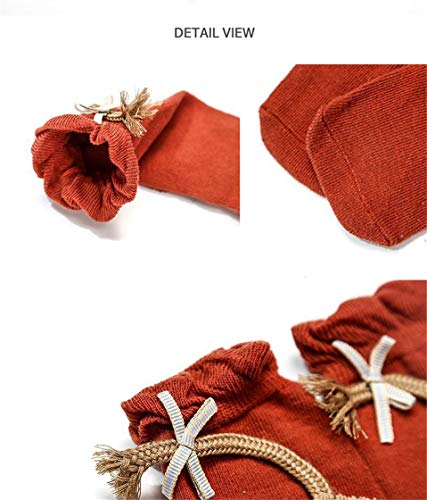 Toddler Knee High Socks For Newborns Print Catoon Animal lion Baby Boys Girls Meias Kids Long Sock Breathable Infant Bow Sokken (Rose Red, Small)2