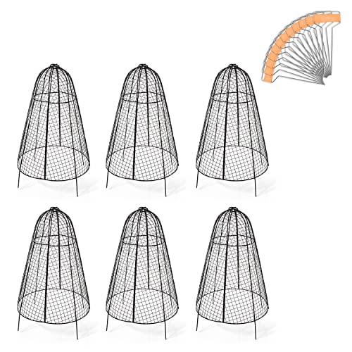 RUAFOX Gartenuhren - 6 Stück - 50,8 cm hoch, wetterfester Metalldraht - rustikaler Bauernhaus-Chic - Innen- und Außenbereich - mit 12 Kupfer-Etiketten Cover