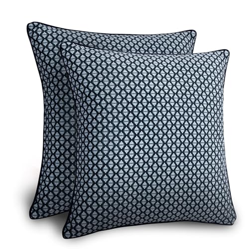 Balios Velvet Pillow Covers Set of 2, Decorative Cushion Covers for Sofa Couch, Hidden Zip, Covers Only, London Design – 18" x 18" (45 x 45 cm), Wyndham Trellis in Ink Blue