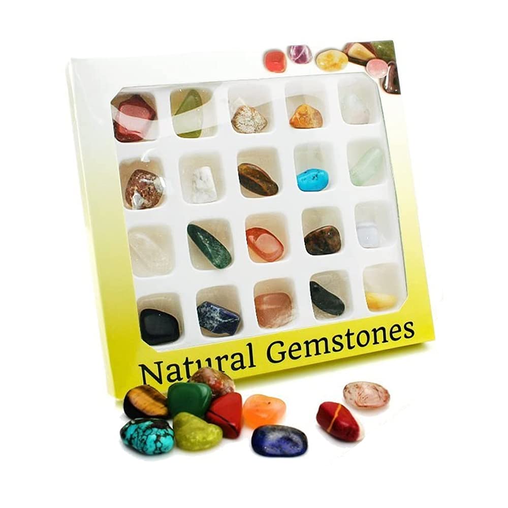 LUYAO Gemstone Rock Collection Kit for Kids Geology Science Learning (Pack of 20pcs)