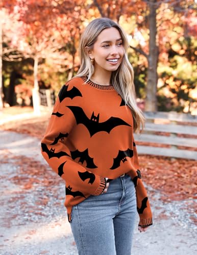 Zeagoo Womens Crewneck Pullover Sweater Long Sleeve Knit Side Slit 2025 Fall Winter Sweater Tops3