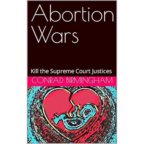 Abortion Wars Audiolibro Por Conrad Birmingham arte de portada