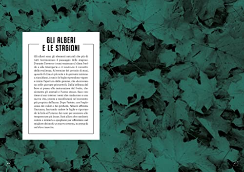 Re-Wild. 50 Percorsi Di Riconnessione Con La Natura. Ediz. A Colori - 9