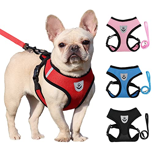 Haustier Hundegeschirr Kleine Hundekette Teddy Weste Welpen Brustgurt Atmungsaktives Netzgeschirr Leinen Haustier Set Outdoor Perro Walking Leads (red, M) Cover