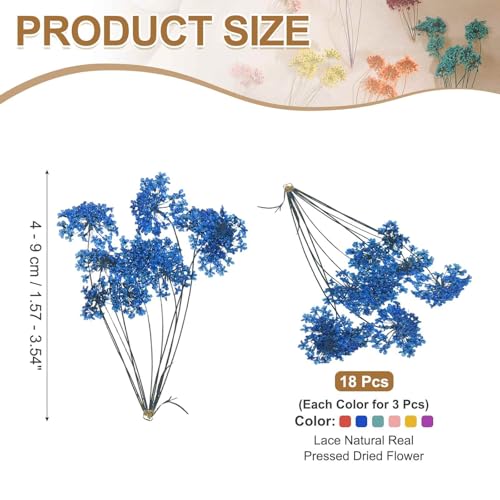 18 piezas de flores secas prensadas naturales para manualidades miniatura 2
