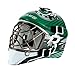 Franklin Sports unisex adult Goalie Mask sports related collectible mini helmets, Multicoloured, One Size US
