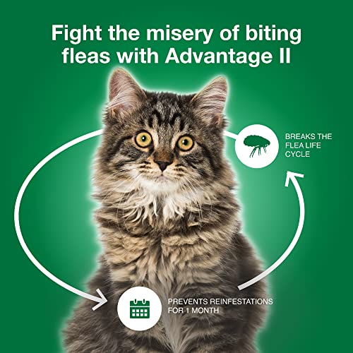 Advantage Ii Small Cat 5-9 Lbs & Advantage Ii Large Cat Over 9 Lbs Vet-Recommended Flea Treatment & Prevention | 2-Month Supply Each #TOP6